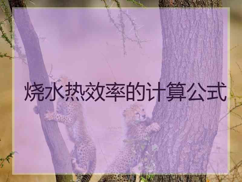 烧水热效率的计算公式
