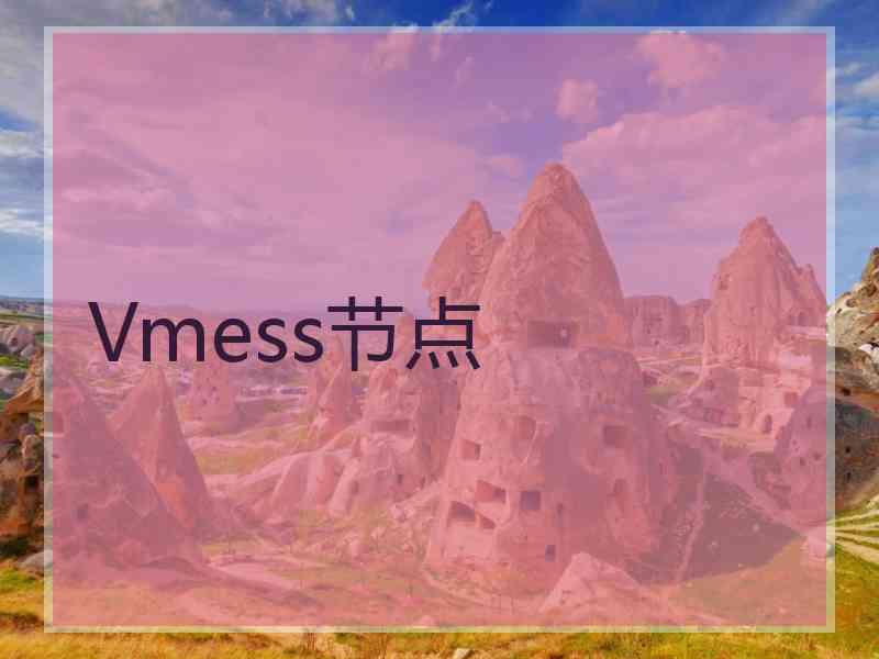 Vmess节点