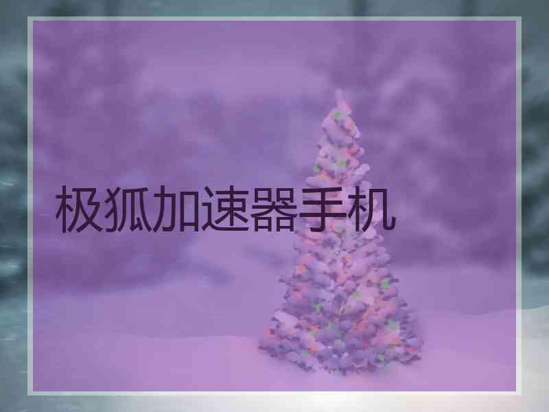 极狐加速器手机