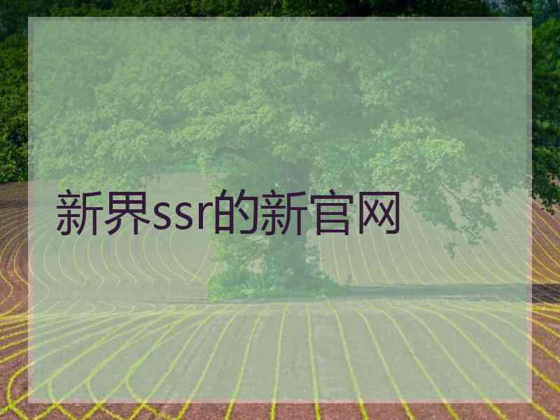 新界ssr的新官网