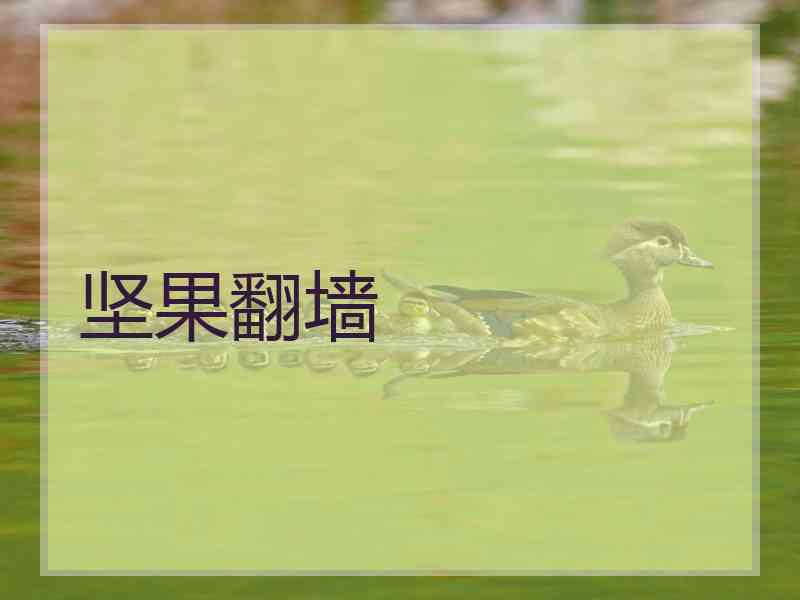 坚果翻墙