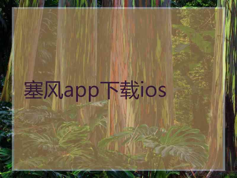 塞风app下载ios