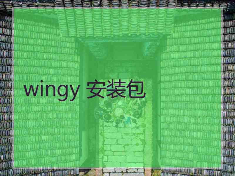 wingy 安装包