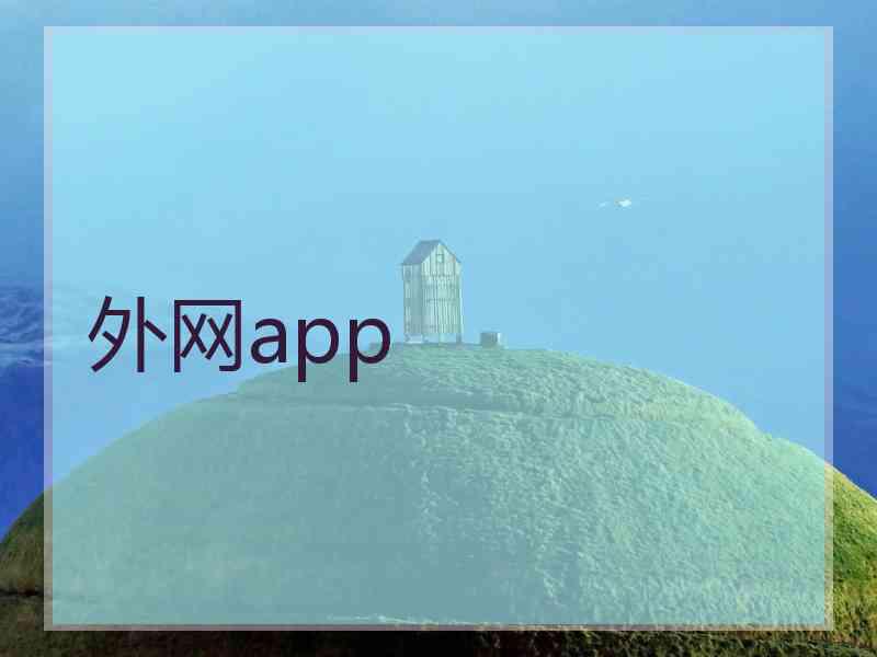外网app