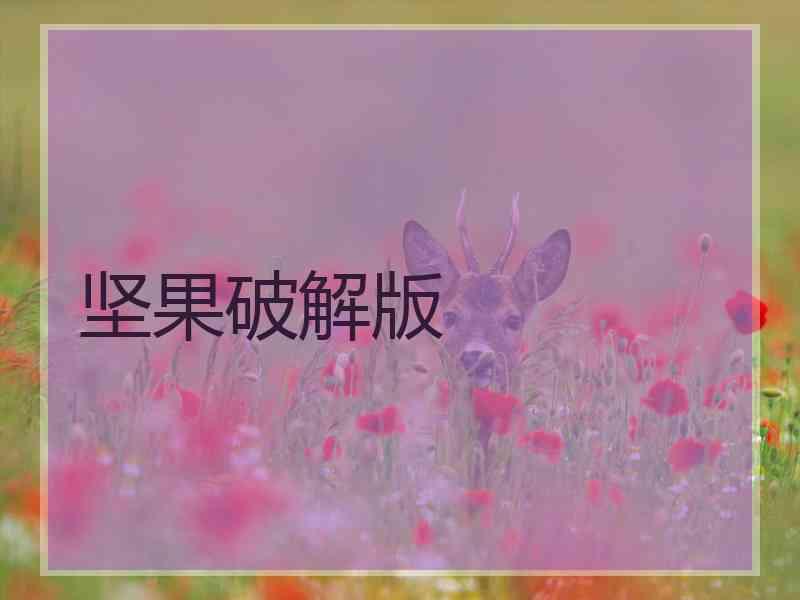 坚果破解版