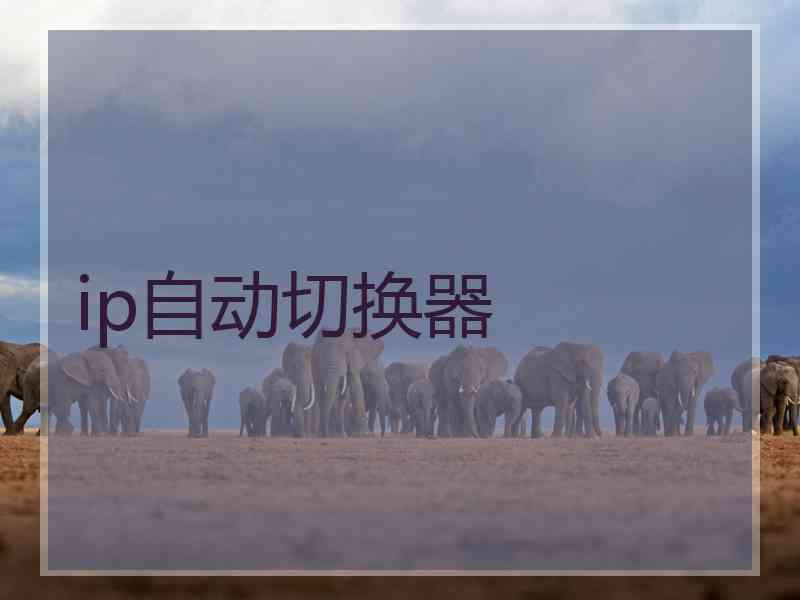 ip自动切换器