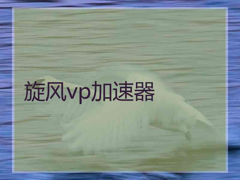 旋风vp加速器