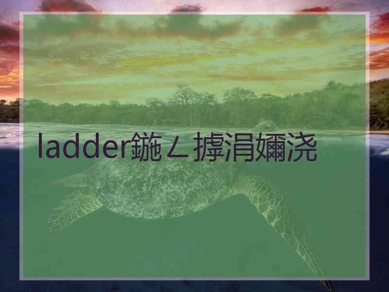 ladder鍦ㄥ摢涓嬭浇