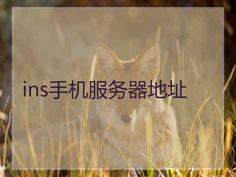 ins手机服务器地址