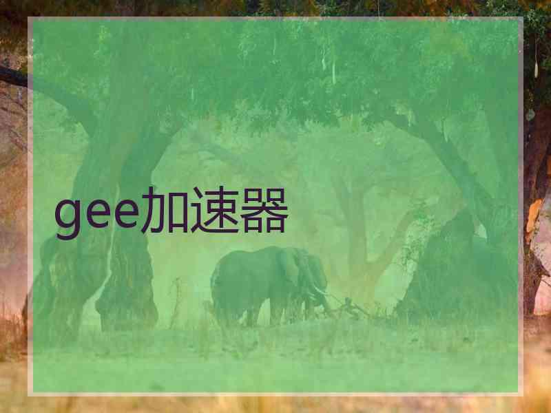 gee加速器