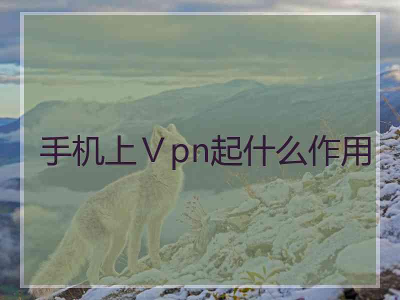 手机上Ⅴpn起什么作用