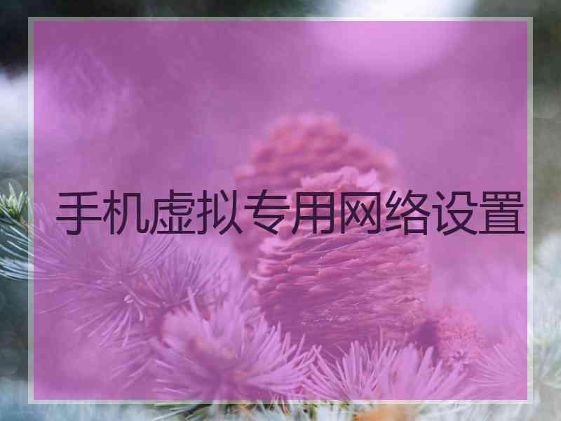 手机虚拟专用网络设置
