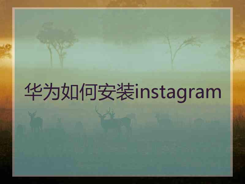 华为如何安装instagram