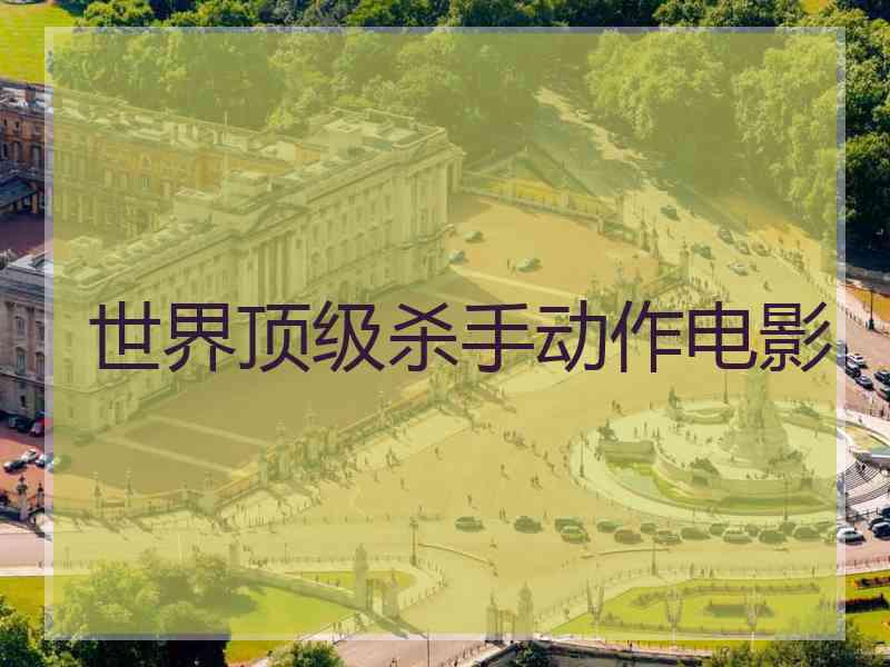 世界顶级杀手动作电影