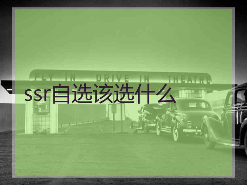 ssr自选该选什么