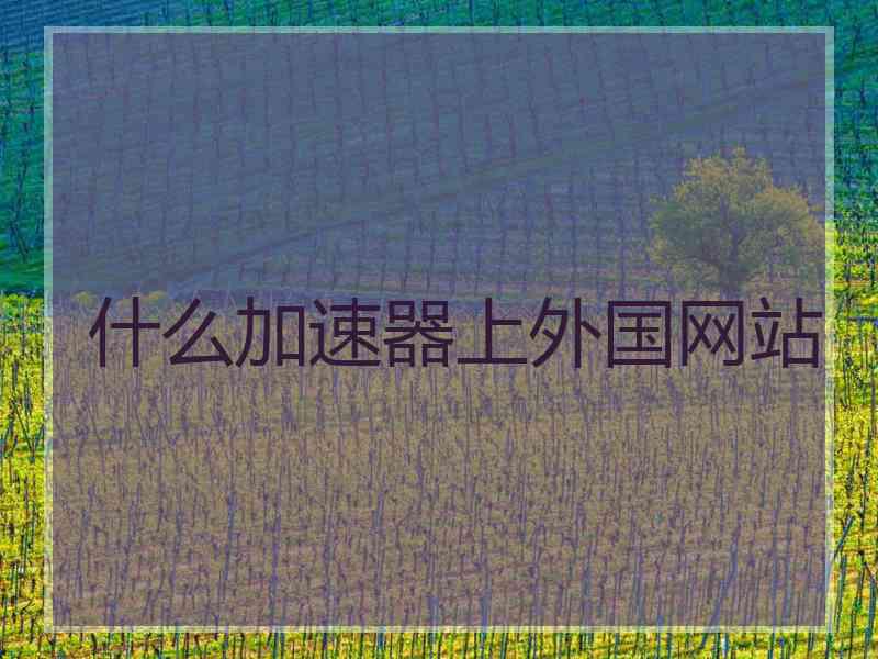 什么加速器上外国网站