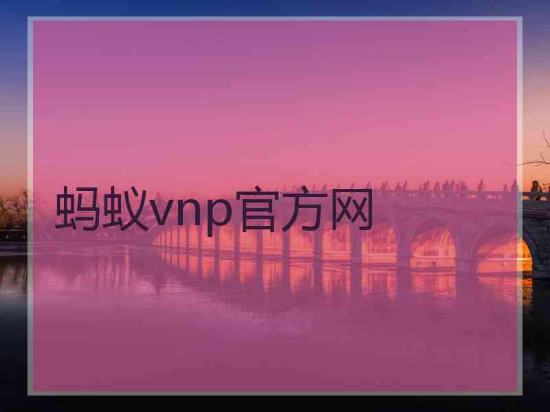 蚂蚁vnp官方网