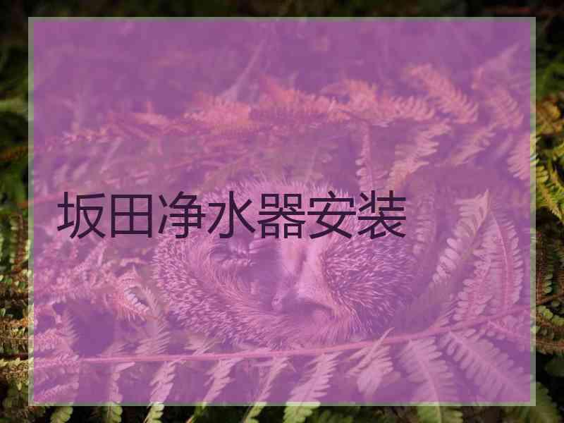 坂田净水器安装