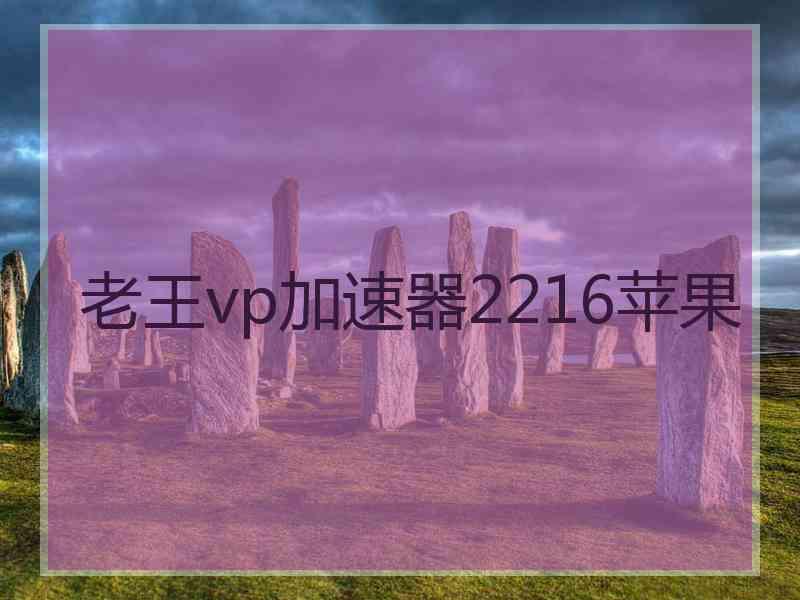 老王vp加速器2216苹果