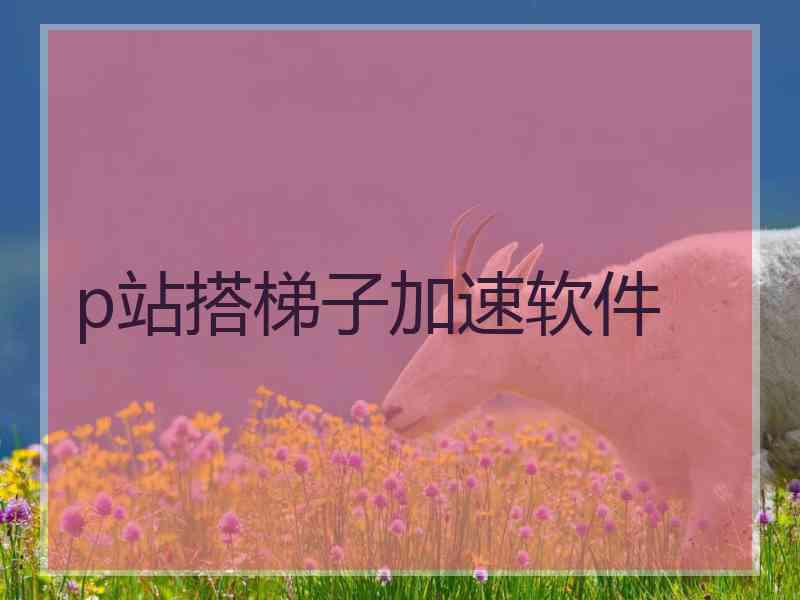 p站搭梯子加速软件