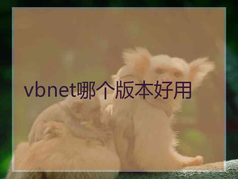 vbnet哪个版本好用