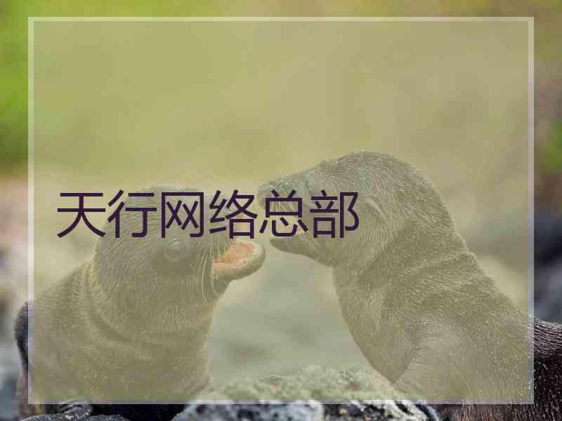 天行网络总部
