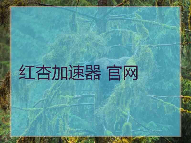 红杏加速器 官网