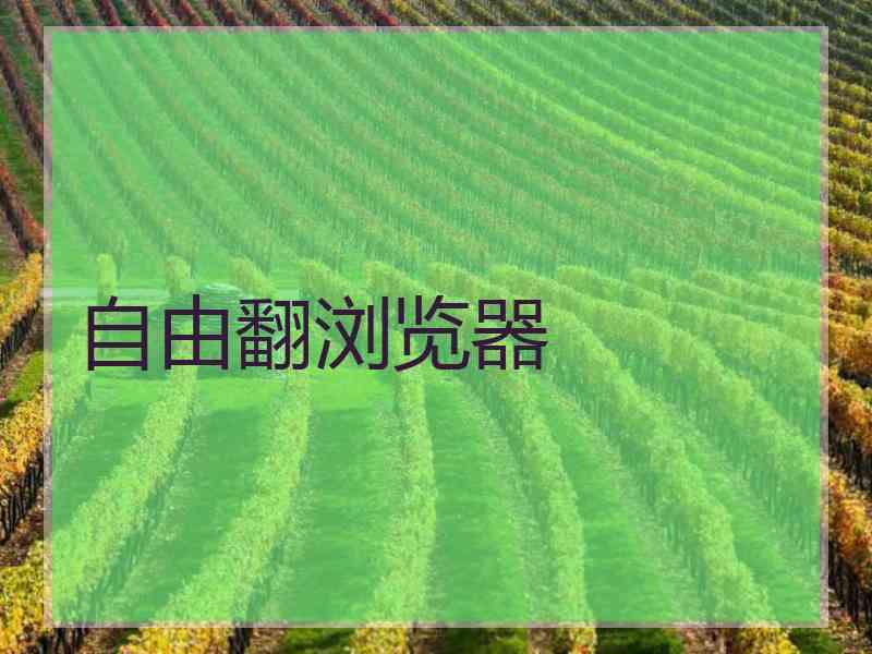自由翻浏览器