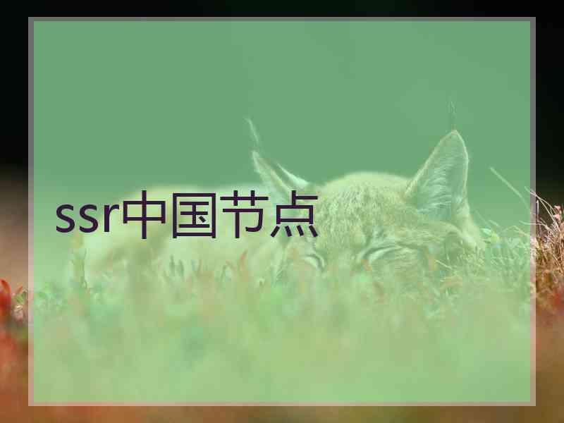 ssr中国节点