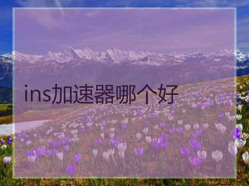 ins加速器哪个好