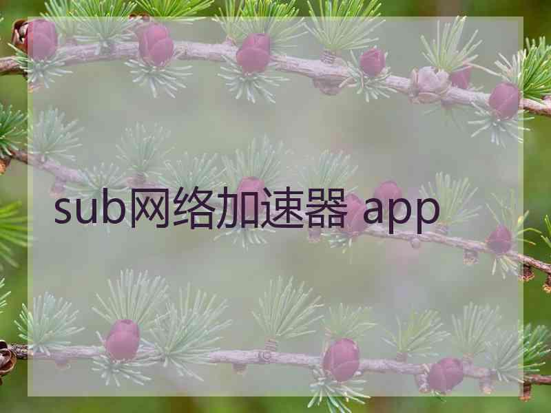 sub网络加速器 app