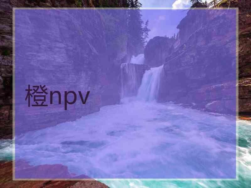 橙npv