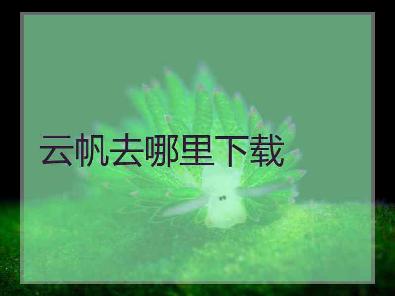 云帆去哪里下载