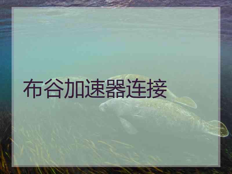 布谷加速器连接