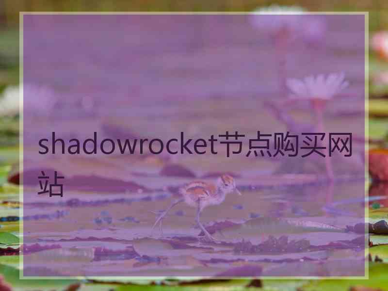 shadowrocket节点购买网站