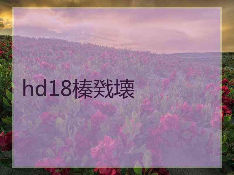 hd18榛戣壊