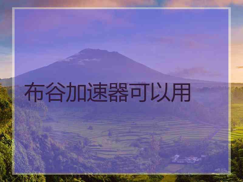 布谷加速器可以用