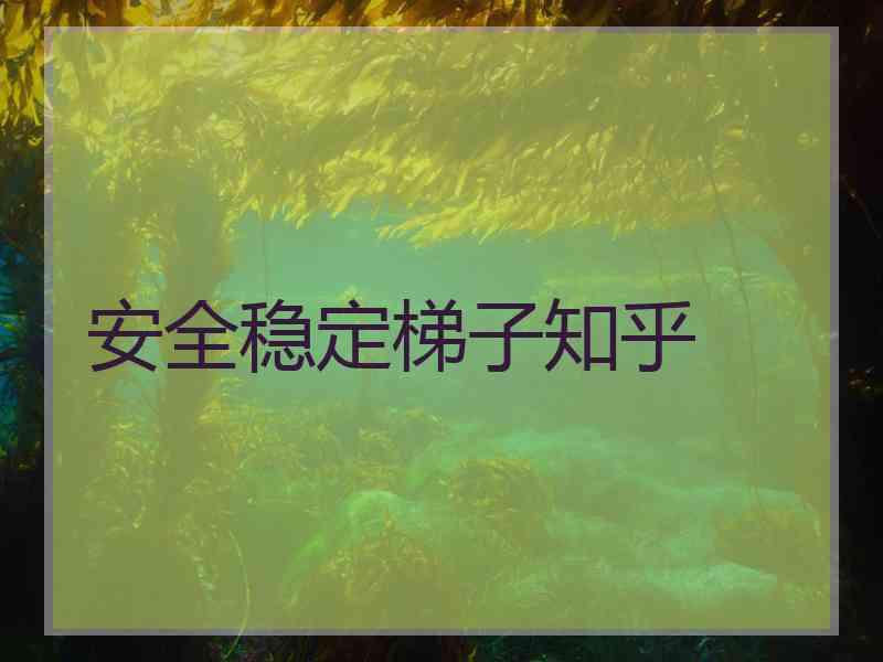安全稳定梯子知乎