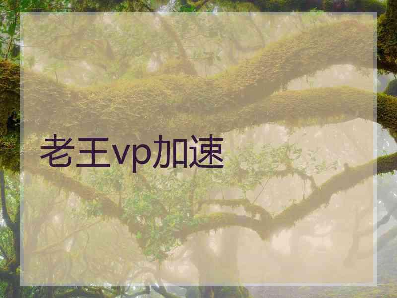 老王vp加速