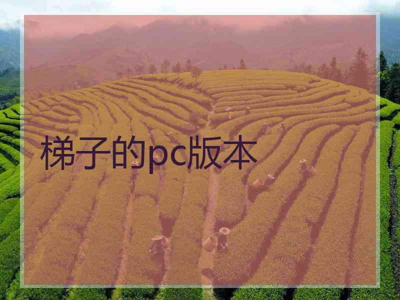 梯子的pc版本