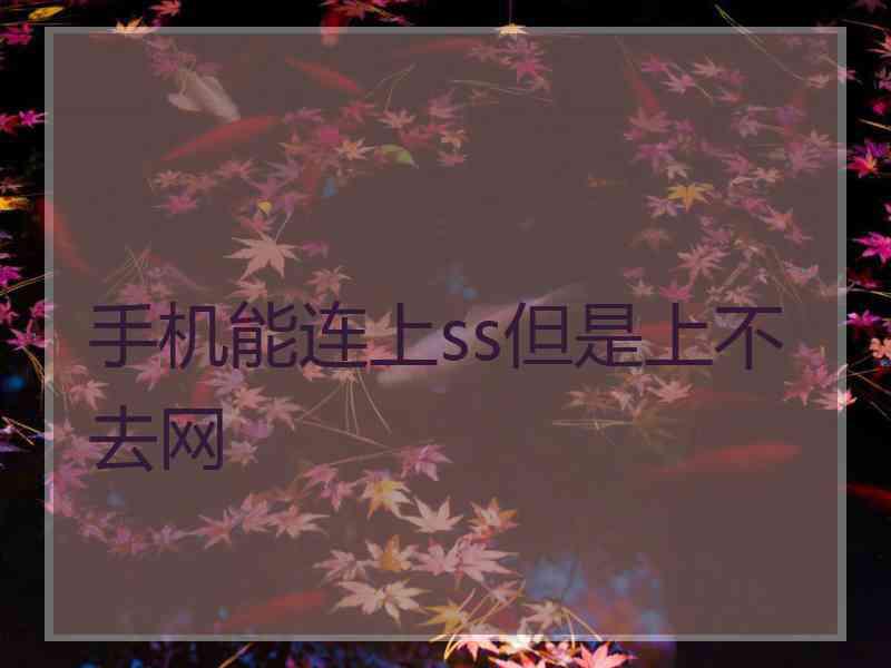 手机能连上ss但是上不去网