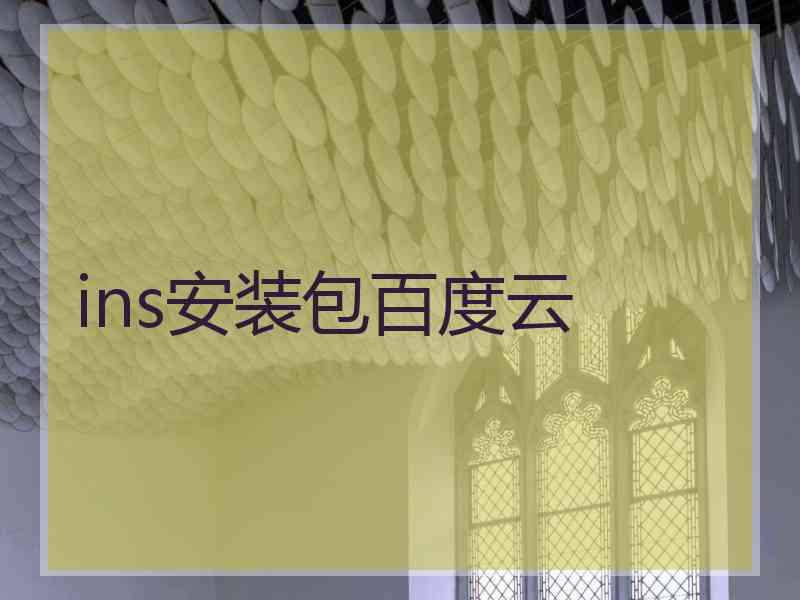 ins安装包百度云