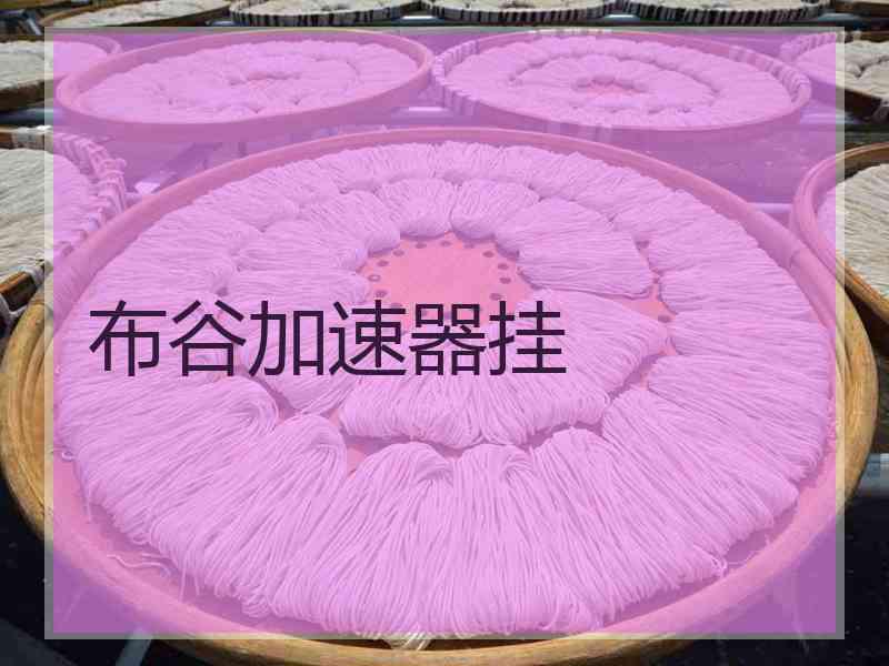 布谷加速器挂