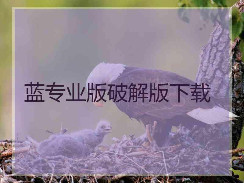 蓝专业版破解版下载