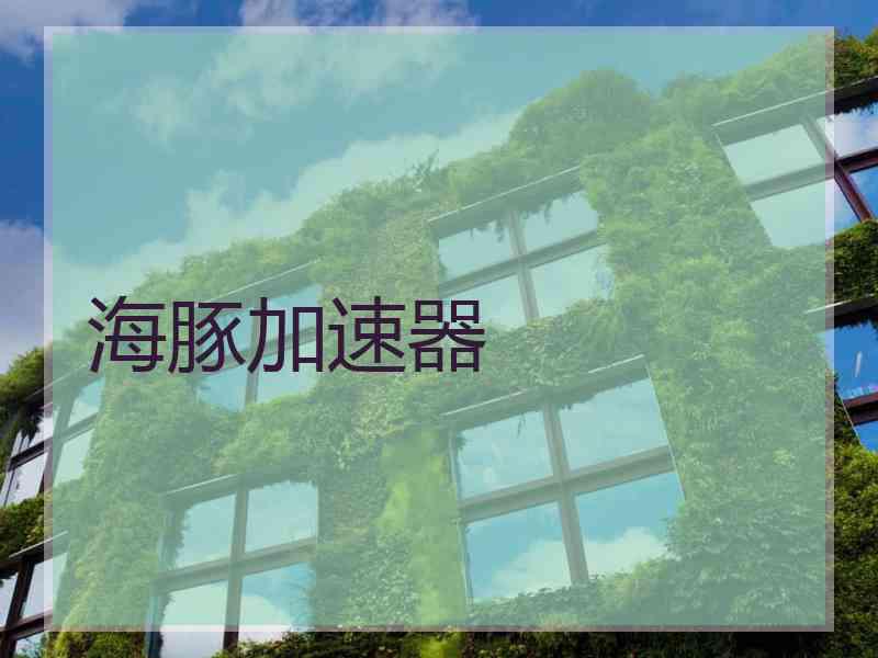 海豚加速器