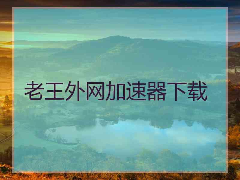 老王外网加速器下载