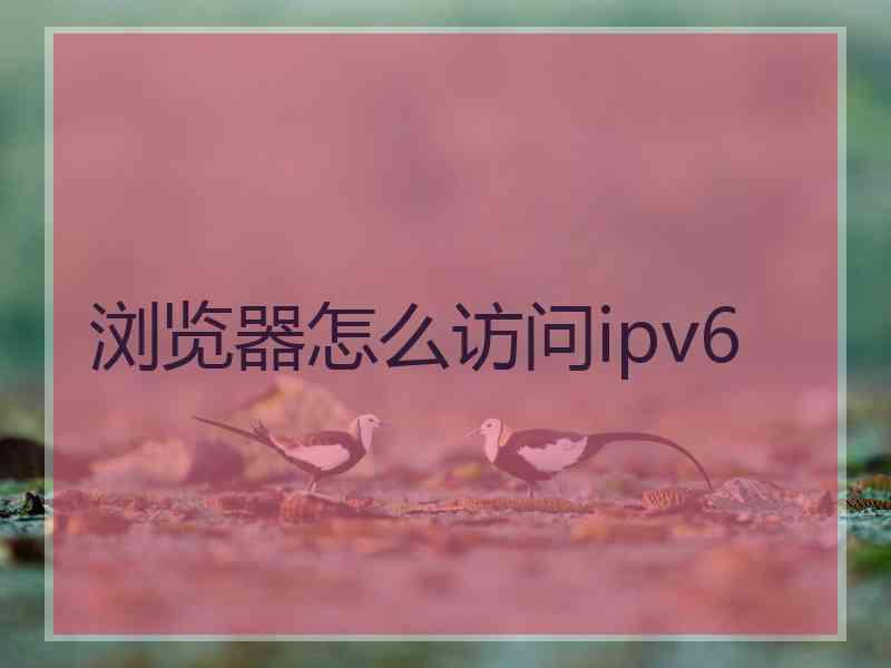 浏览器怎么访问ipv6