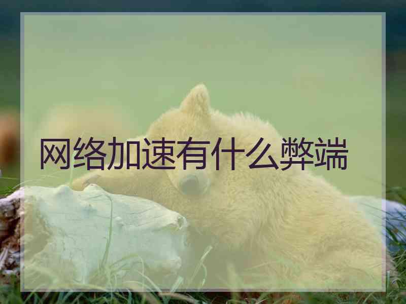 网络加速有什么弊端