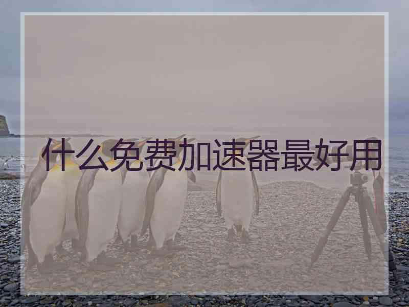 什么免费加速器最好用