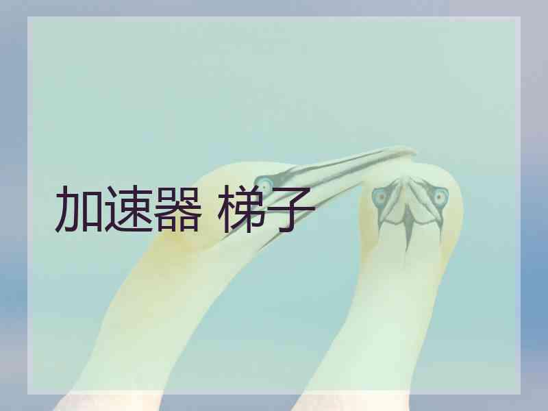 加速器 梯子